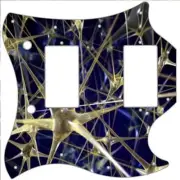 SG Standard Pickguard Custom Gibson Graphical Guitar Pick Guard Web of Glass