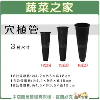 在飛比找樂天市場購物網優惠-【蔬菜之家】穴植管 12公分、15公分、18公分 走莖育苗 