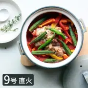 TOJIKI TONYA Grey Direct Fire Clay Pot No. 9 Clay Pot 12108-91071 [ From Japan