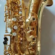 New 54 Saxophone Brand New Alto Saxophone Professional Instrument High Quality