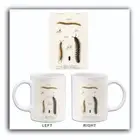 Glomeris Marginata - Julus Lucifugus - Millipede - 1849 - Illustration Mug