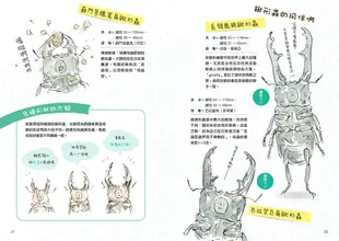 樹液太郎的軟萌昆蟲圖鑑：twitter追蹤數破17萬人的超人氣插畫家!