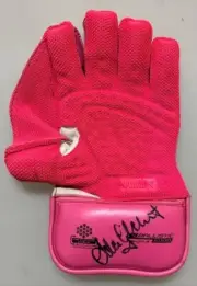 Adam Gilchrist Hand Signed Pink McGath Foundation Cricket Wicket Keepers Glove