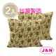 【J&N】蘿絲彈性抱枕60*60玫瑰綠綠色(2入/1組)