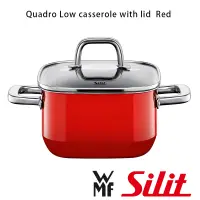 在飛比找蝦皮購物優惠-【德國WMF】Silit Quadro Low casser