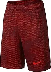 [Nike] Boy's Dry Printed Fly Training Shorts