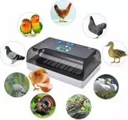 220V Intelligent Chicken Bird Egg Incubator Eggs Hatcher Temperature Control