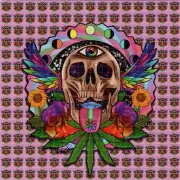 Psychedelic Skull - Ellie Paisley Brooks BLOTTER ART perforated tabs psychedelic