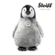 【STEIFF】Flaps penguin 企鵝(動物王國_黃標)