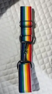 Rainbow Snaffle Bit Elastic Belt
