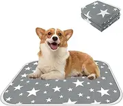 LONENESSL Pee Pad for Dogs 2 Pack, Washable Puppy Pads for Potty Training, Eco-Friendly Reusable Puppy Training Pads Puppy Pet Dog Indoor Cat Toilet Training Pads Dog Mat Super Absorbent 50*70CM