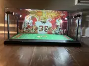 Sean Taylor Custom 2-card PSA & BGS display case with LED lights - Redskins