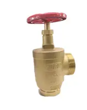 Zurn Fire Hose Valve 2-1/2" F100