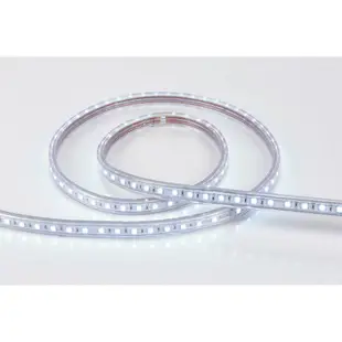 舞光 5050常壓室內黃光軟條燈110V LED-50HV/1-W【高雄永興照明】