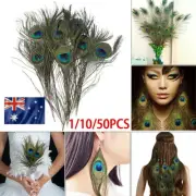 1/10/50 pcs Real Natural Peacock Tail Eyes Feathers 2024 new