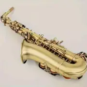 Professional Bronze Alto Saxophone Wind Band Protective Case