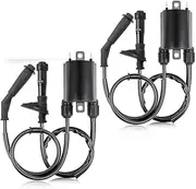 MPVPDLDZPN 2set Of Ignition Coil & Spark Plug Cap Fit For Honda Shadow VLX 600 VT600 1988-2007