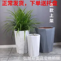 在飛比找蝦皮購物優惠-陶瓷花盆 水泥花盆 盆栽容器 園藝花盆 創意花盆 大型花盆 