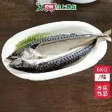 在飛比找遠傳friDay購物優惠-NG 鯖魚一夜干 6kg/箱(足重出貨)約13-20尾-20