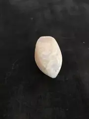 RARE Fossil shell Coober Pedy Opal 123 carat