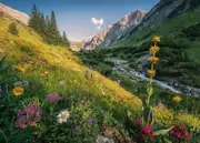 Ravensburger - Magical Valley Puzzle 1000pc