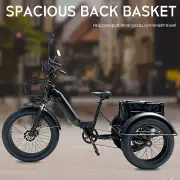 Kristall EX400 48V Electric Trike Tricycle 3 Wheeler Cycle Power Assist 1000W AU