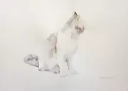 Cat, Animal, Watercolor artwork, Handmade, Original painting on paper