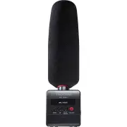Tascam DR-10SG Camera-Mountable Audio Recorder with Shotgun