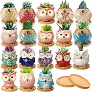 Cindeer 18 Pcs 2.5 Inch Owl Ceramic Succulent Planter Pots Mini Small Ceramic Pots with Drainage Hole and Bamboo Tray for Succulents Glaze Cactus for Home Garden Office Desk Decoration Gift Ideas