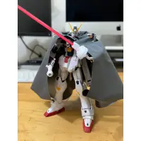 在飛比找蝦皮購物優惠-MG 1/00 CROSSBONE GUNDAM X1 Ve