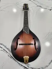New GOLD TONE GM-6+/L 6-string electric mandolin GUITAR new w/ HARD CASE