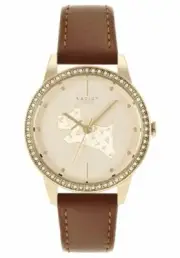 RADLEY Women's Analog Quartz Watch with Brown Leather Strap RY21180