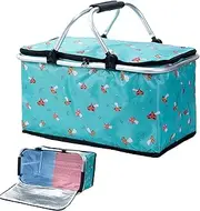 Lueear Cute Picnic Basket, Food Carrier, Foldable Portable Waterproof Insulated Cooler Basket for Outdoor Gathering Travel Beach Wine