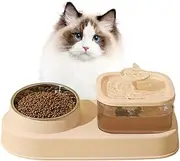Cat Food and Water Bowl Set | Large Capacity Spill Proof Cat Water Bowl - Dry and Wet Separation Slow Feeding for Multi-pet Households Outdoor