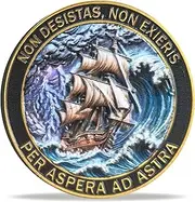 Strugglejewelry Sailing Ship & Anchor Inspirational Challenge Coin - Symbol of Perseverance & Courage - Motivational Awards Medallion Pocket Token