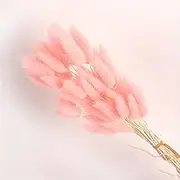 19 Inch Natural Bunny Tails Dried Flowers，Bohemian Style，Pampas Grass Decor，120 Pcs Dried Flowers，Eternal and Preserving Floral Arrangement in Home Decoration ﻿(Pink)