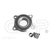 GSP Wheel Hub Assembly - 242009K