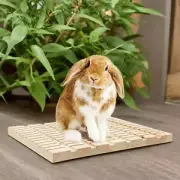 Rabbit Scratch Pad Wooden Mat Wooden Chew Toys for Small Pet Hamster Bunny