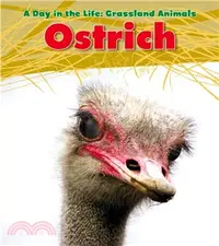 在飛比找三民網路書店優惠-Ostrich