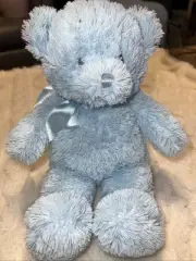 Baby Gund 10" Blue Teddy Bear plush stuffed toy New