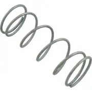 Raypak U.G. RETAINER SPRING 268-408 RAYPAK HEATER 013792F