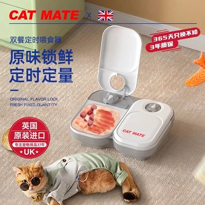 Automatic Timed Cat Feeder - 48 Hour Timer Double Cat Bowl with Dual Ice Pack Re