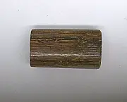 Authentic Fossilized Coral | Polished Specimen for Collectors & Crafters