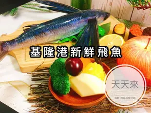 【天天來海鮮】基隆港新鮮現釣飛魚 每份1公斤3-5.尾(三去真空包裝)