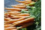 BABY CARROT 'Baby Pak' / 'Baby Amsterdam' seeds