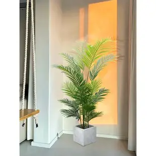 高端輕奢仿真綠植散尾葵造景假植物裝飾室內盆栽客廳塑料花大型樹