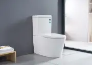 TOILET SUITE CERAMIC SOFT CLOSE SEAT WASHDOWN BACK TO WALL P OR S TRAP