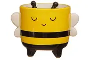 Sass & Belle: Mini Bee Planter on Legs