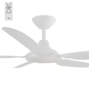 Calibo Storm 42" Indoor/Outdoor 5 Blade ABS DC Ceiling Fan With Remote