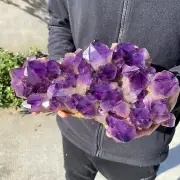 13lb Large Natural Amethyst geode quartz cluster crystal specimen Healing